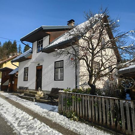 Hisa Hortenzija Luče المظهر الخارجي الصورة