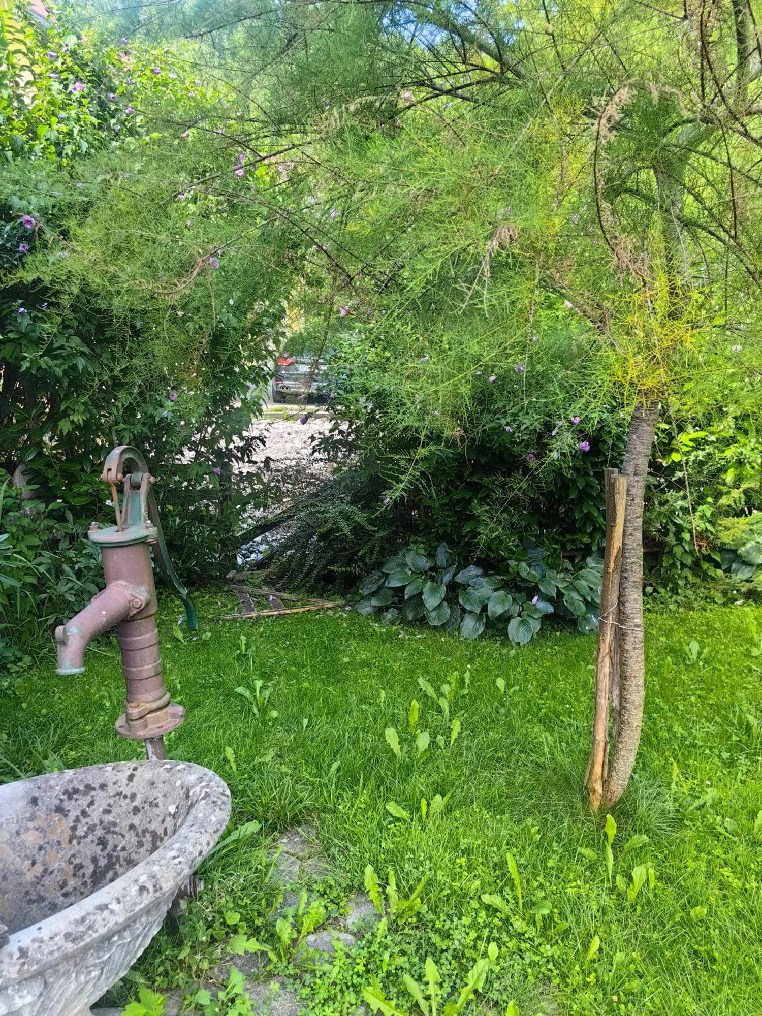 Hisa Hortenzija Luče المظهر الخارجي الصورة